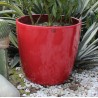 GW-05 Polo Rose 9" Flower Pot