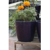 GW-05 Polo Rose 9" Flower Pot