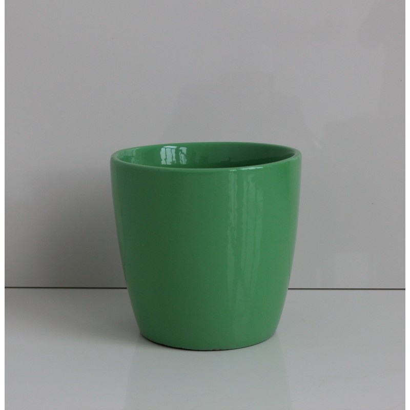 GW-05 Polo Rose 9" Flower Pot