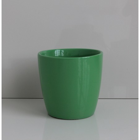 GW-05 Polo Rose 9" Flower Pot