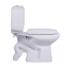 Polo Aqua Toilet