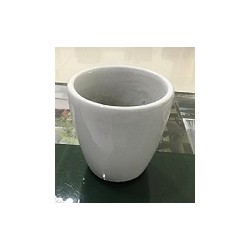 GW-06 Polo Rose 5" Flower Pot