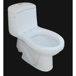 PT-03 (Polo One Piece Toilet)