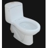 PT-03 (Polo One Piece Toilet)