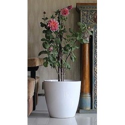 Rose 12" Flower Pot